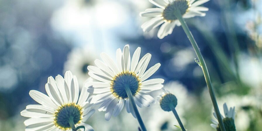 pleunmoors's profile banner image