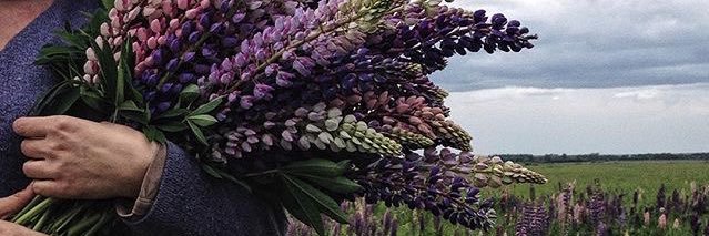 saras606's profile banner image