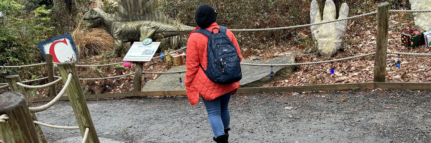 Raasheeedah's profile banner image