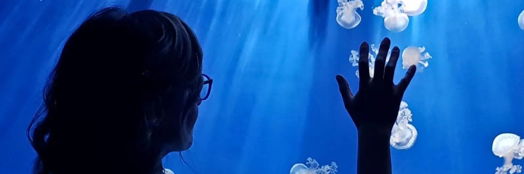 laurel_roberts3's profile banner image