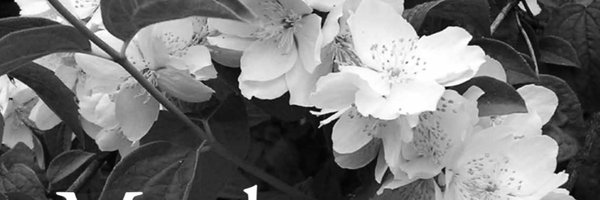 AnneOsbourn1 Profile Banner