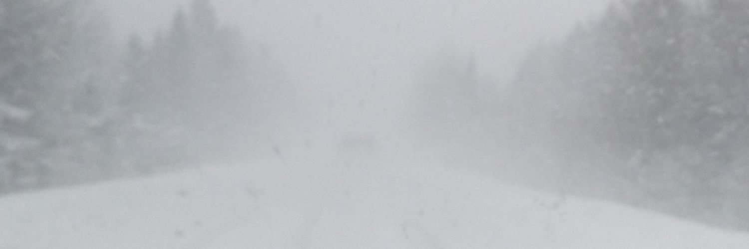 dambanker's profile banner image