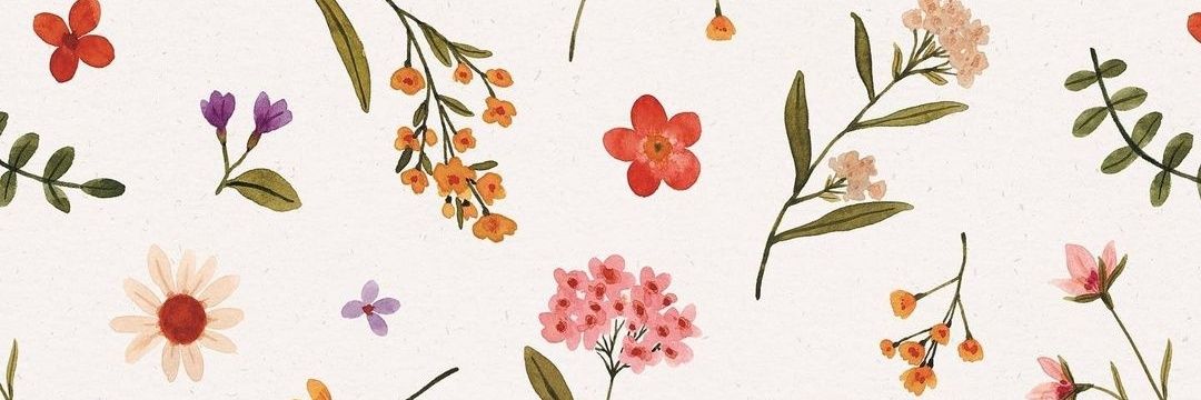 anne_shep_'s profile banner image
