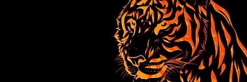 NadiaWle's profile banner image
