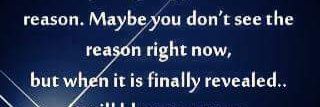 AngelAngelone's profile banner image