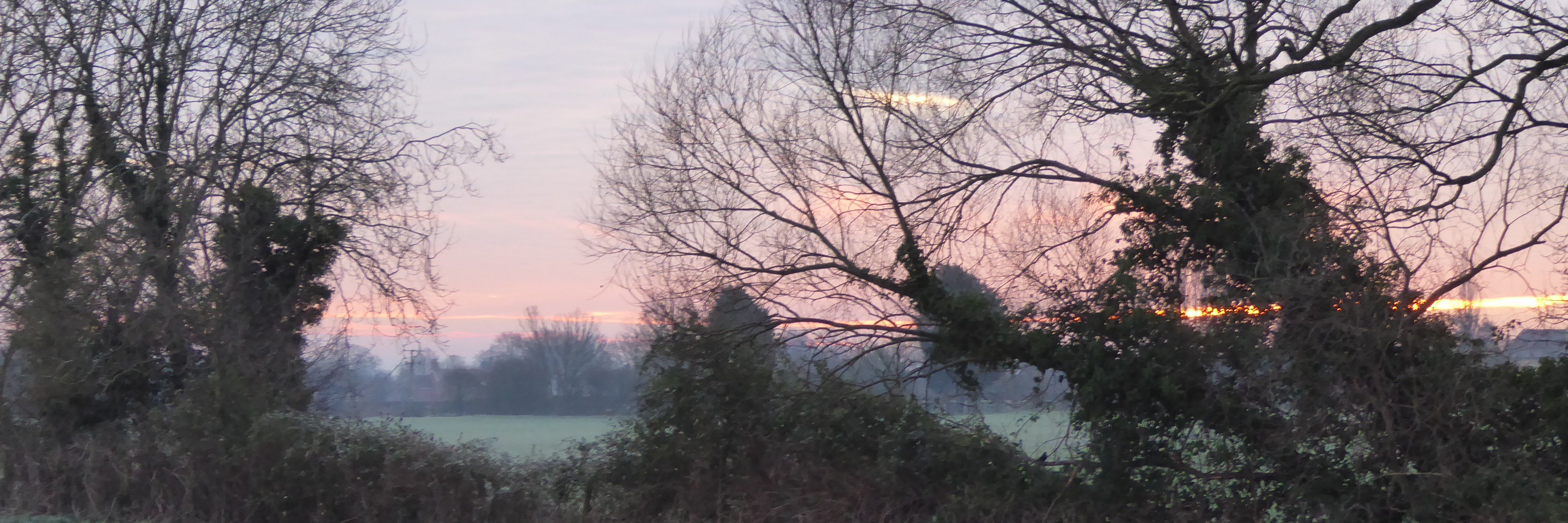JS0600's profile banner image
