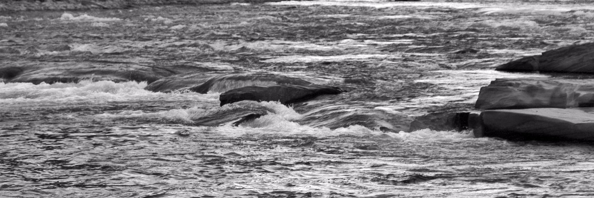 DamascusCitizens.org banner