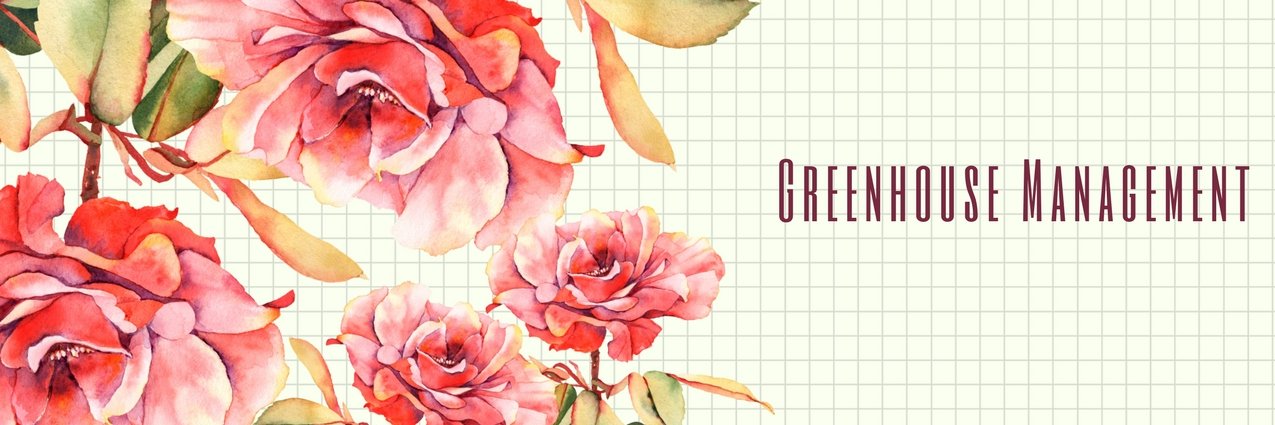_monicagarden's profile banner image