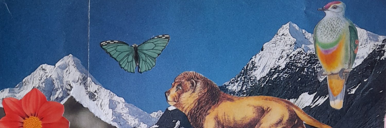 Bryony Littlefair 💥 banner