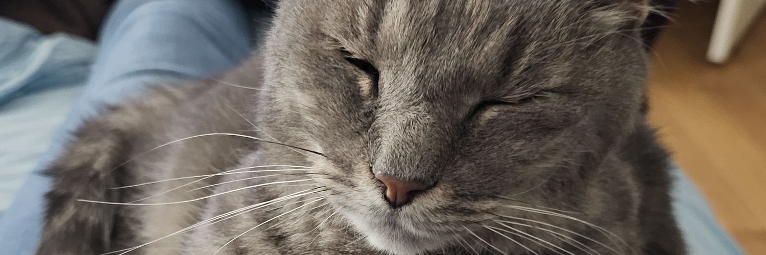 DDiVico's profile banner image