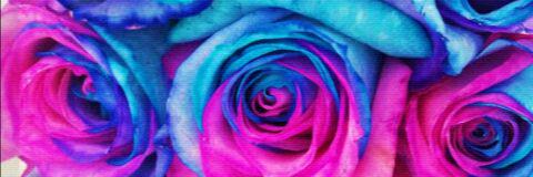 islanilani's profile banner image