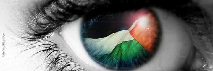 afriliani_'s profile banner image