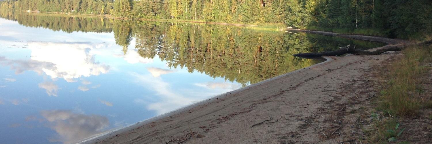 Marko Pitkanen banner