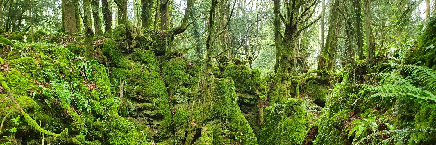 Kate Sullivan de Estrada banner