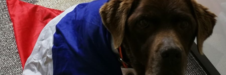 JuliaCouter's profile banner image