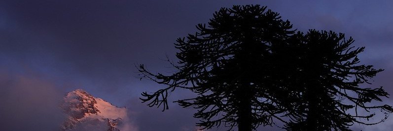 soliak's profile banner image