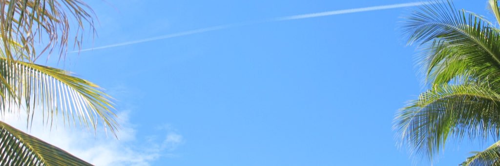 rinya125's profile banner image