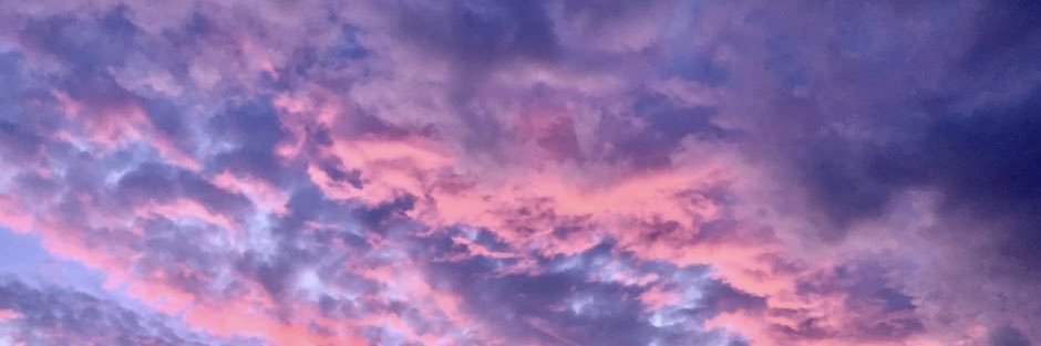 Alex banner