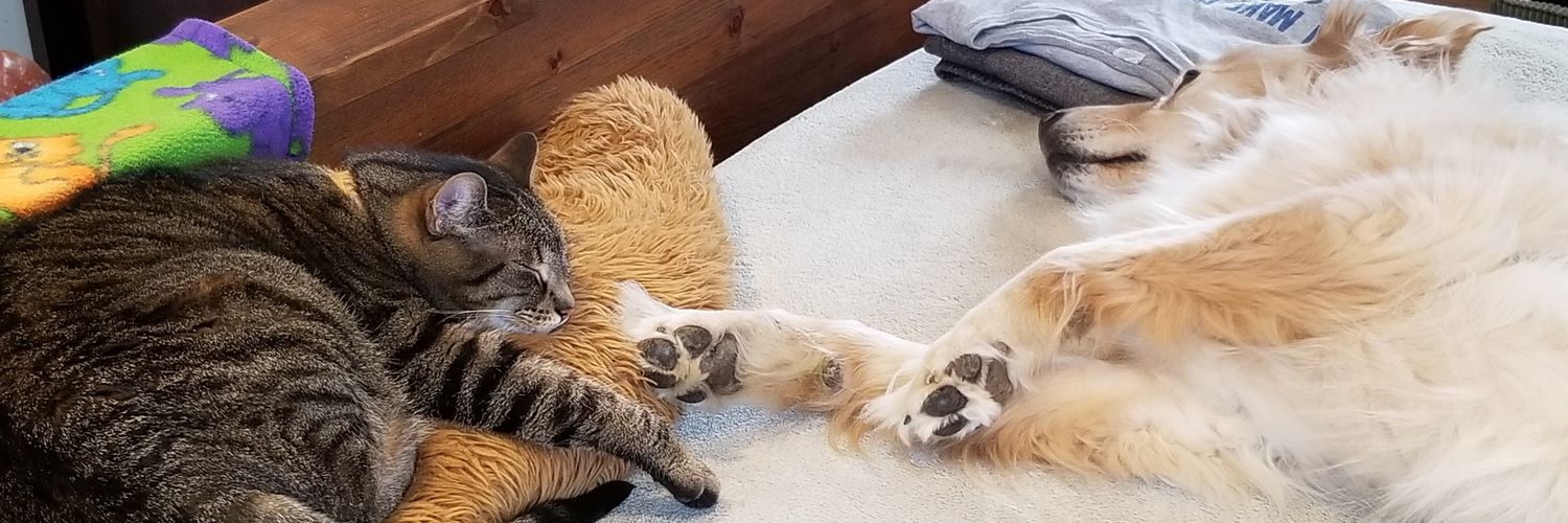 Jezebel❤️Ama Furever banner