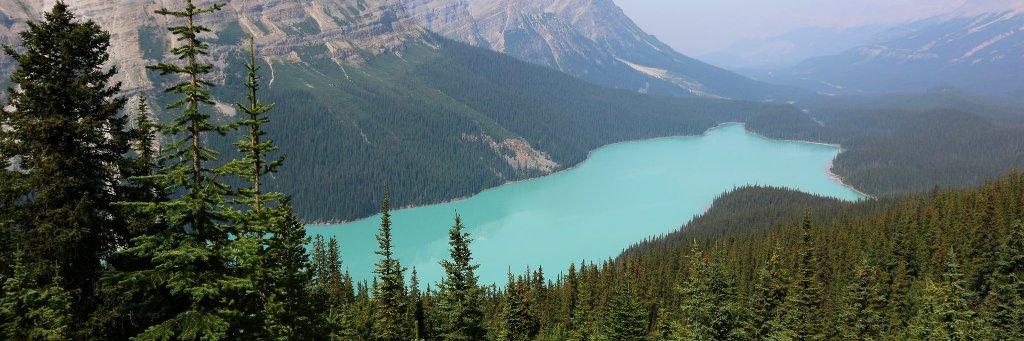 Brian M.K. Allen banner