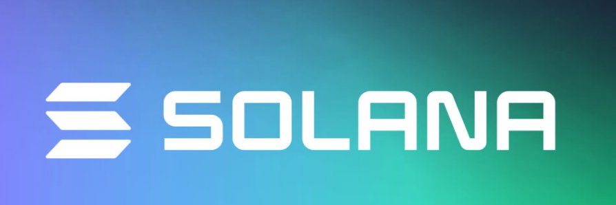 Bored Monkey 🤙 banner