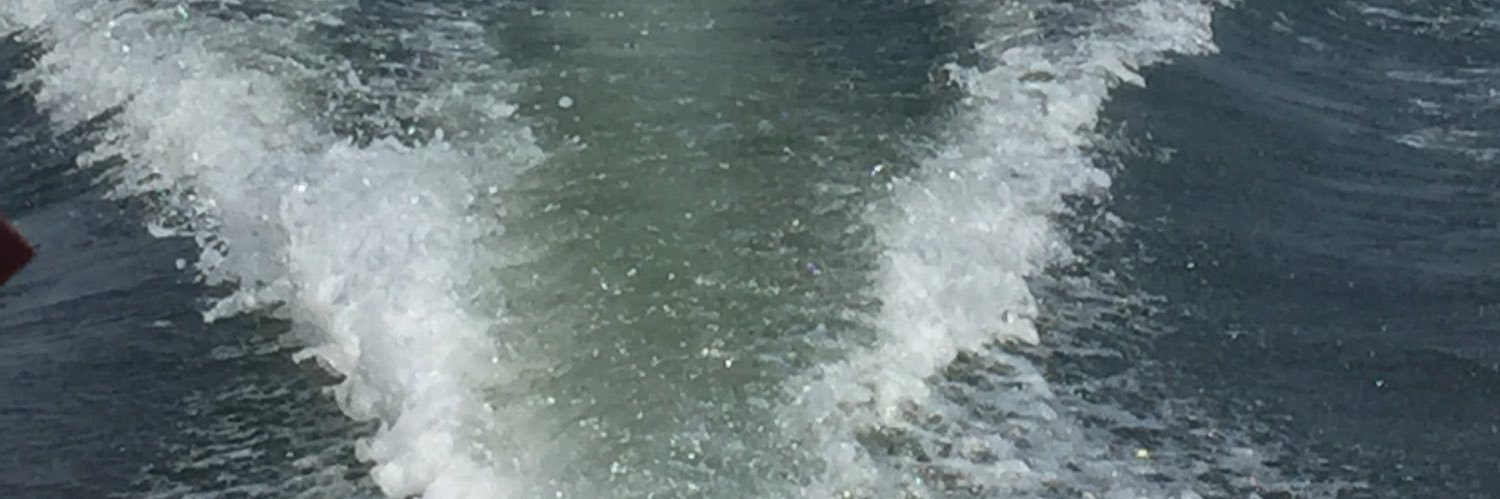 vesper_mutt's profile banner image