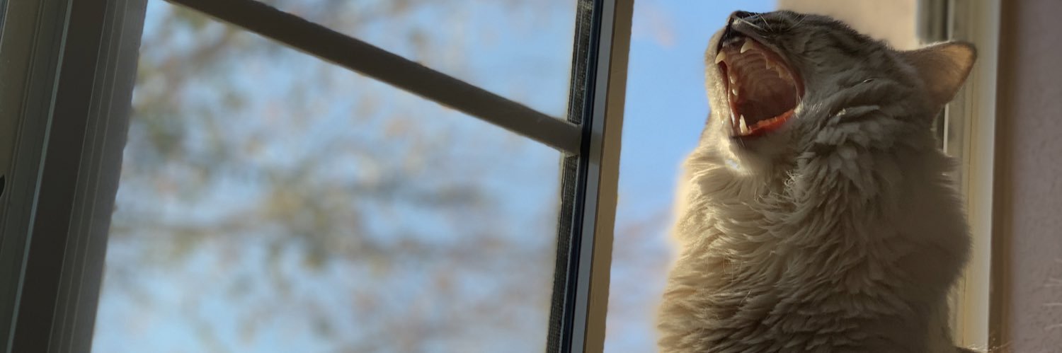 Pluther_93's profile banner image