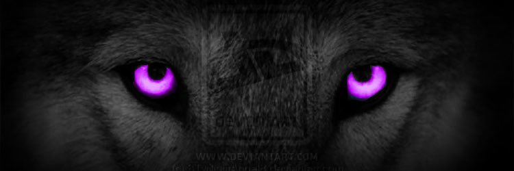 Coachkaebae's profile banner image