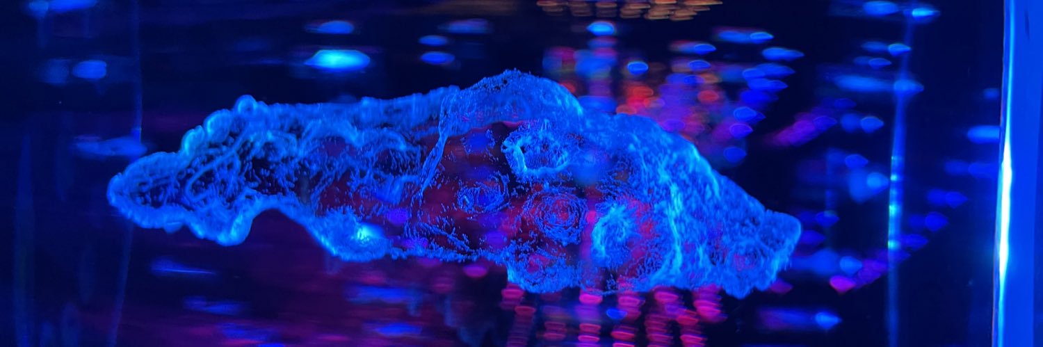 gregincrypto's profile banner image