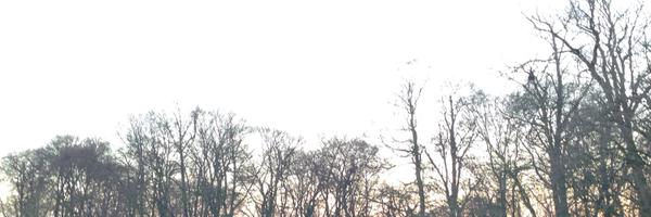 IamSimonDwight Profile Banner