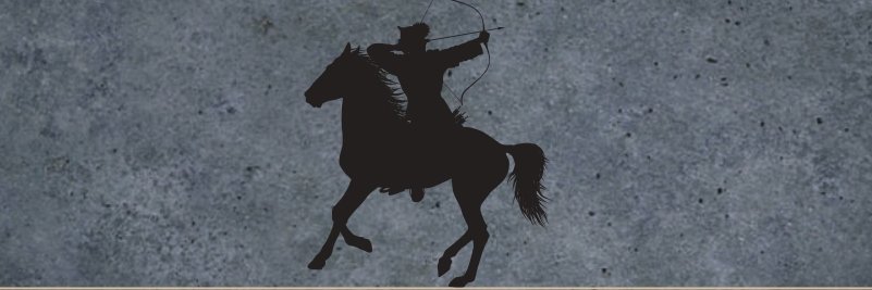 Süleyman Şahin سليمان شاهين banner