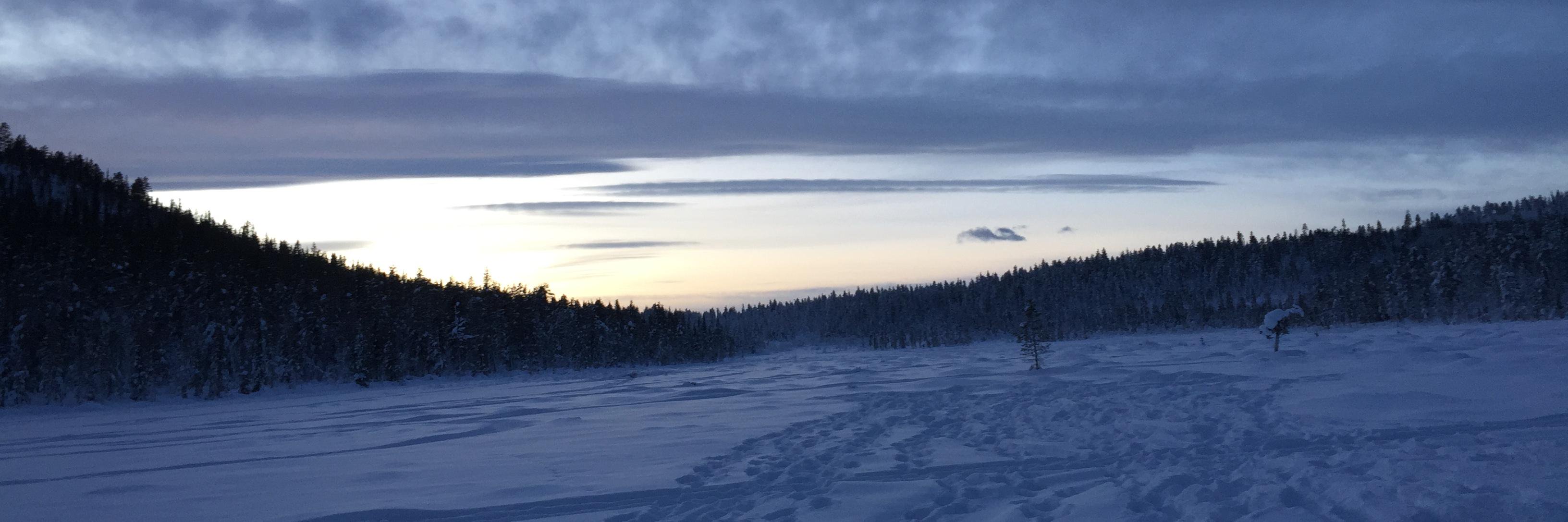 Chloe Cameron banner