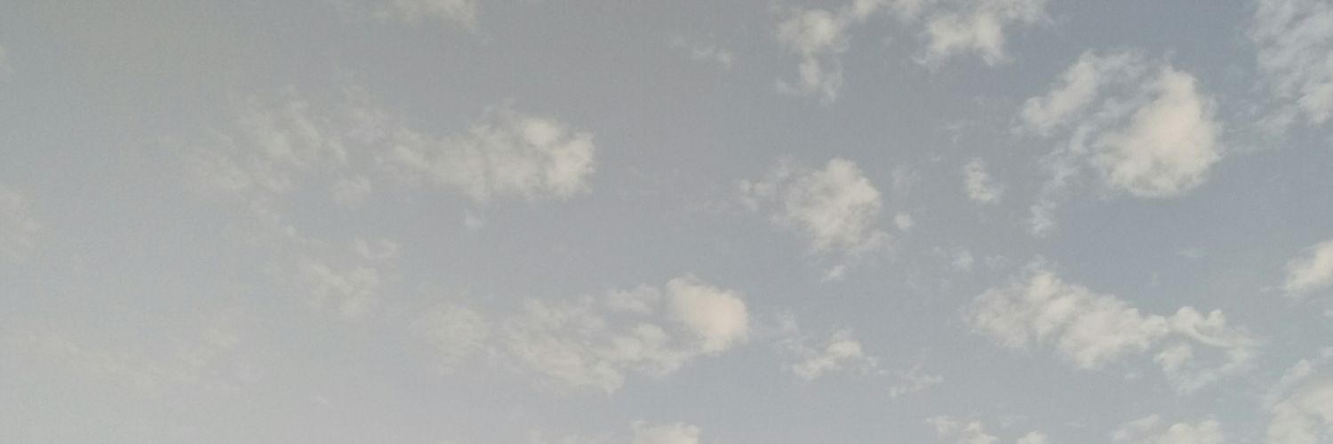 SheilaMahadani's profile banner image