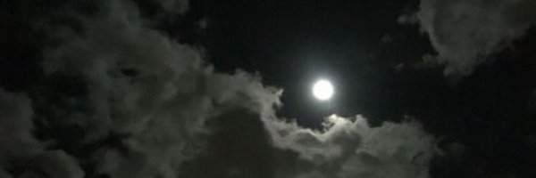 PrincessHaroldd Profile Banner