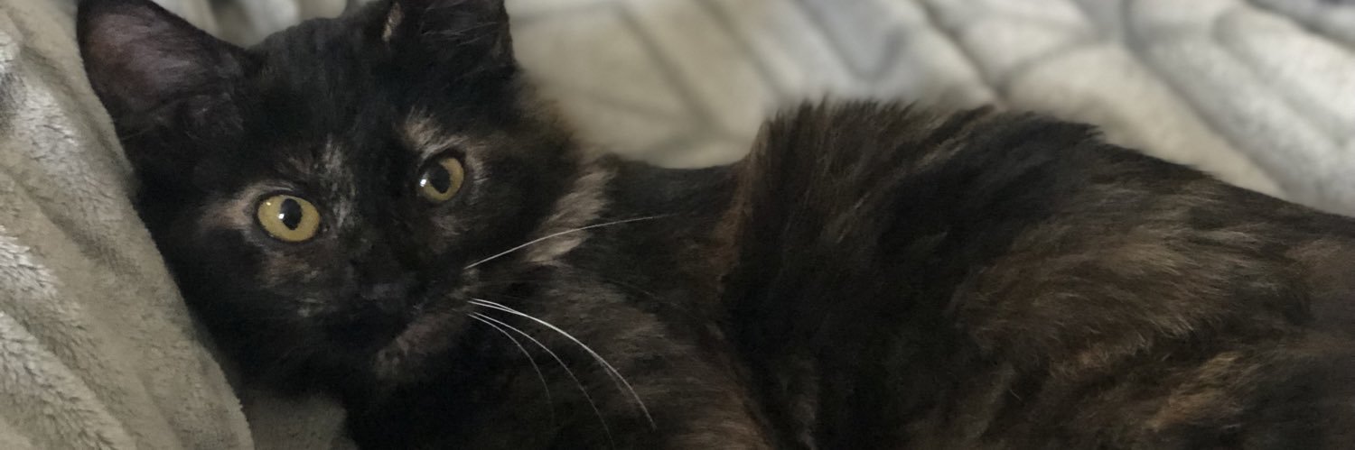 weholmes_'s profile banner image