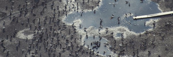 fabbro_fabbro Profile Banner