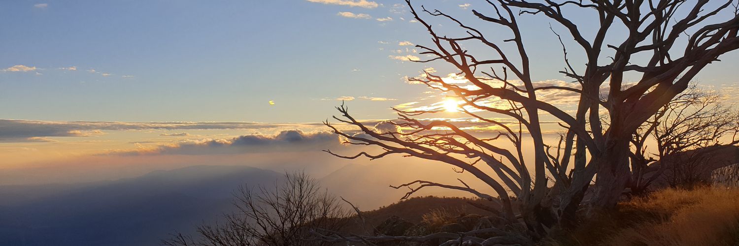 nurse ruby 🍭🐺🇵🇭🇭🇲 • ʏᴘ¹²³²⁵ banner