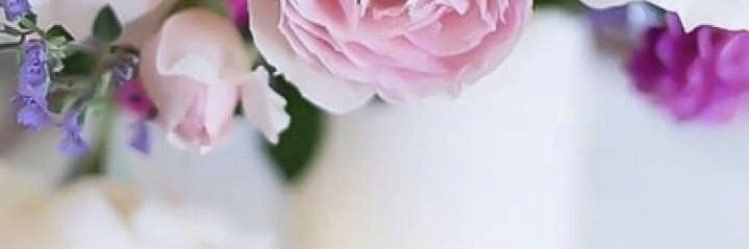 Rochas__'s profile banner image