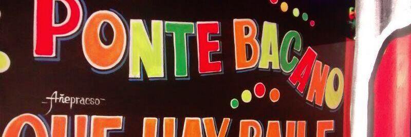 El Vizo's banner