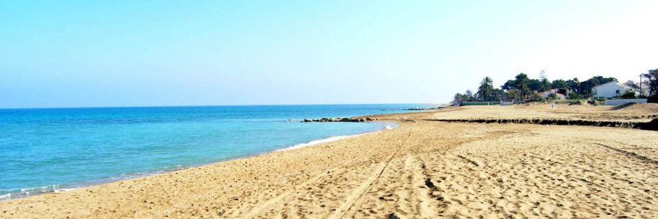 Lau_SanF's profile banner image