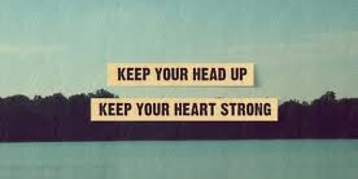 evelina larsson banner