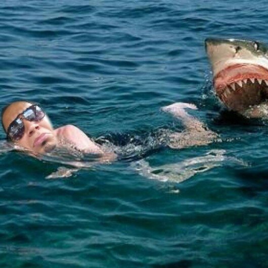 raulo🇵🇷 banner