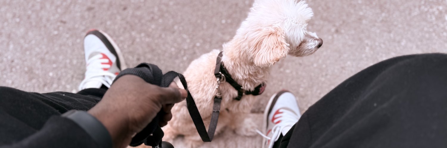 jaypresident's profile banner image