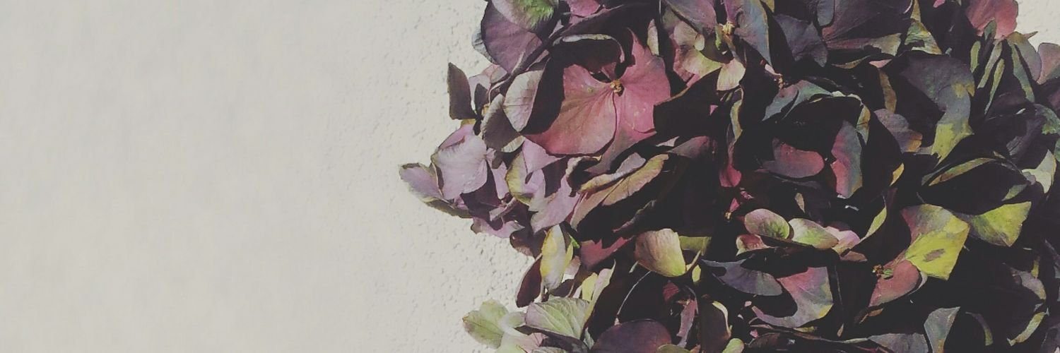 Francescazpl's profile banner image