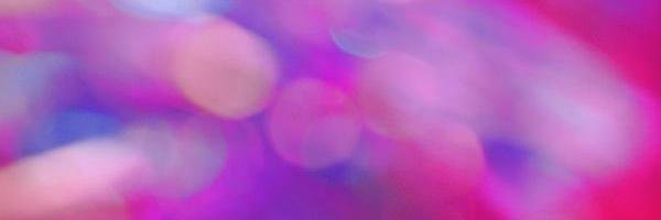 Tara Bourne banner