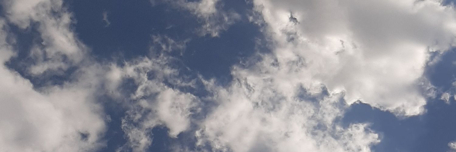 Roherrrer's profile banner image