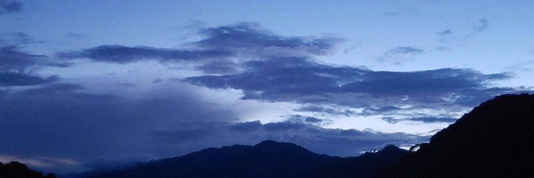 davidarregui32's profile banner image