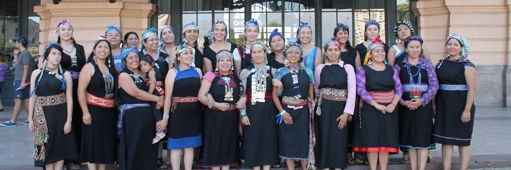 Periodico Mapuche banner