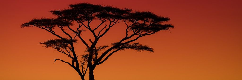 CapRevolution's profile banner image