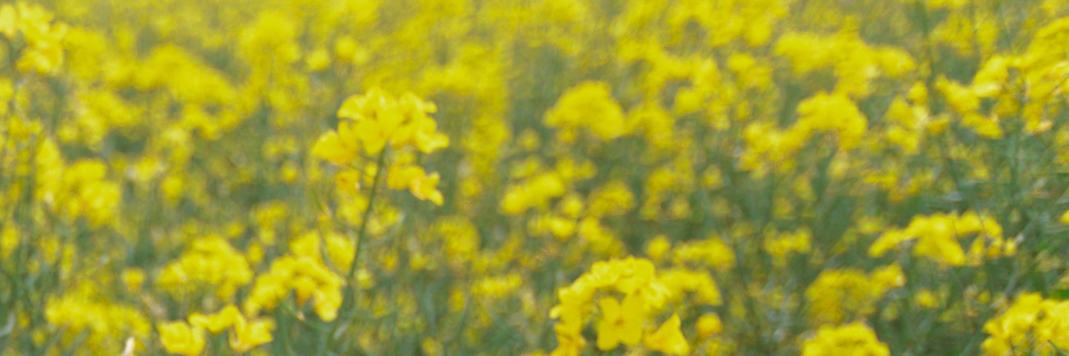 Martin Profile Banner